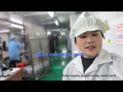 মেডিকেল সরঞ্জাম এবং শিল্প অ্যাপ্লিকেশন জন্য কাস্টমাইজড পিইটি ঝিল্লি সুইচ